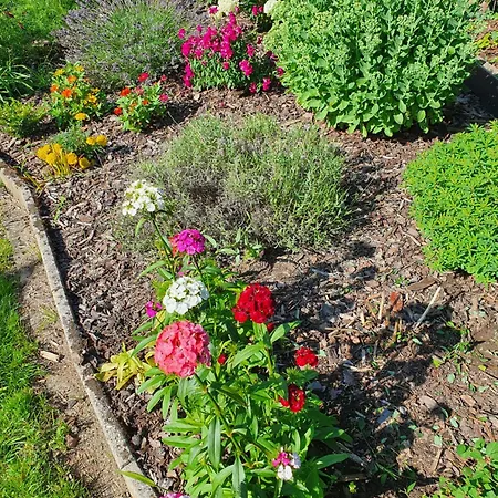 Trasser טראבן-טרארבאך