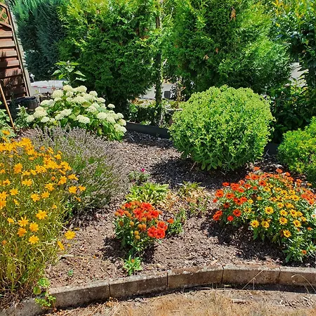 Trasser Traben-Trarbach