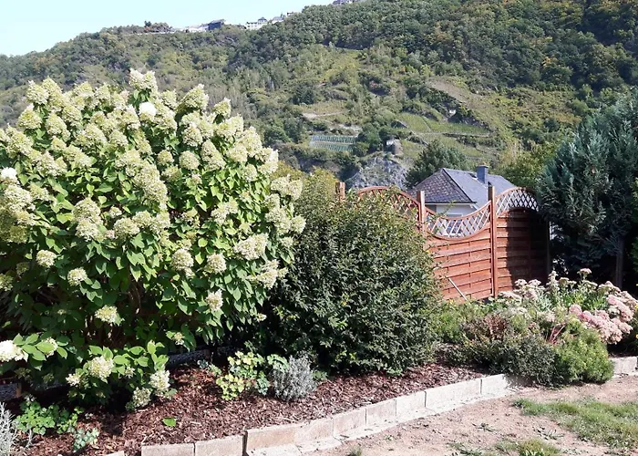 アパート Trasser *