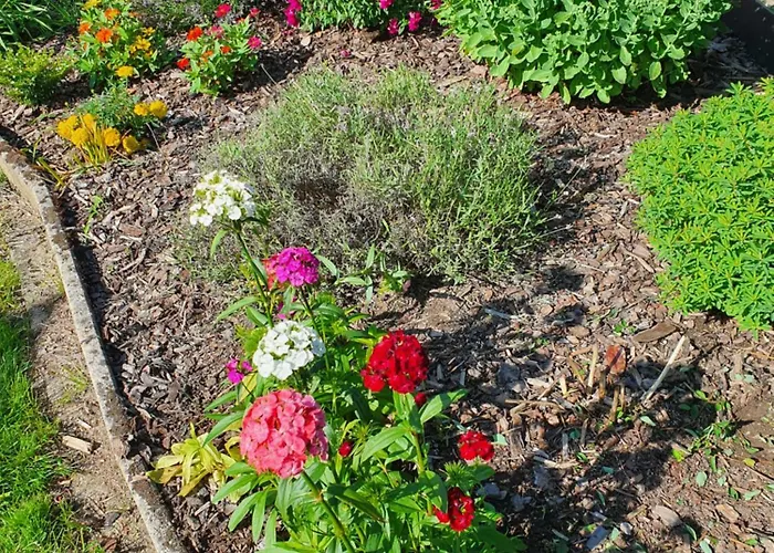 Trasser トラーベン・トラールバッハ