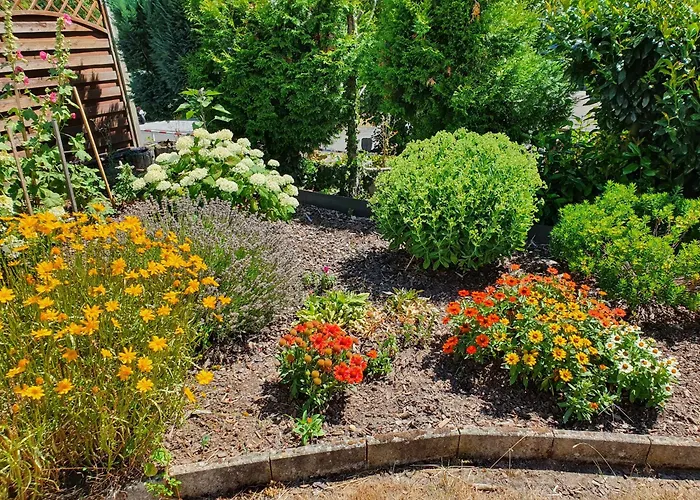 Trasser トラーベン・トラールバッハ